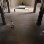 Kris-Martin-Do-not-cross-the-red-line-10-©-Walter-Schlesinger---Kunst-Station-Sankt-Peter-2012-Koeln